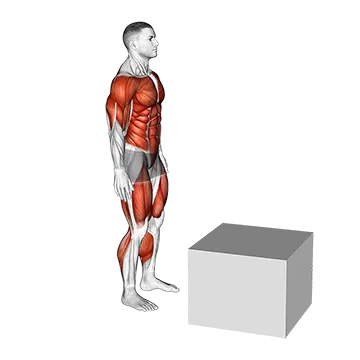 1 to 2 Jump Box