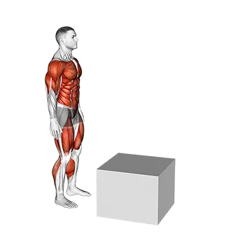 2 to 1 Jump Box