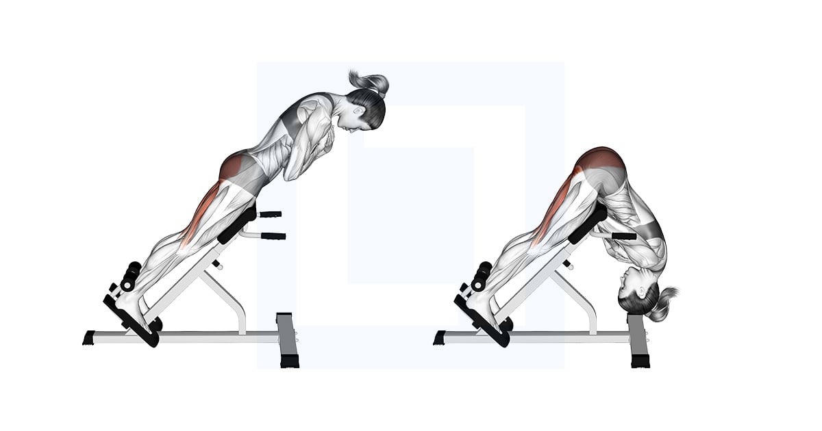 45 Degree Hip Extension Glute Focused