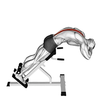 Best Calisthenics Back Workouts 45 Degrees Back Extension