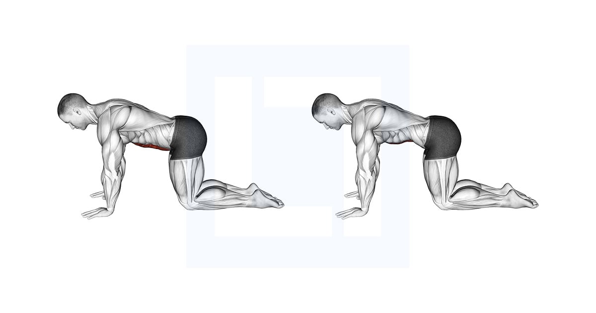 Abdominal 4 Points