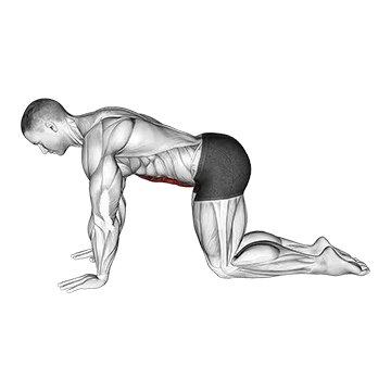 Abdominal 4 Points