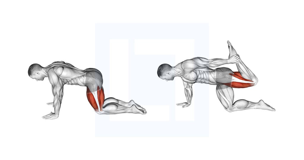 All Fours Squad Stretch