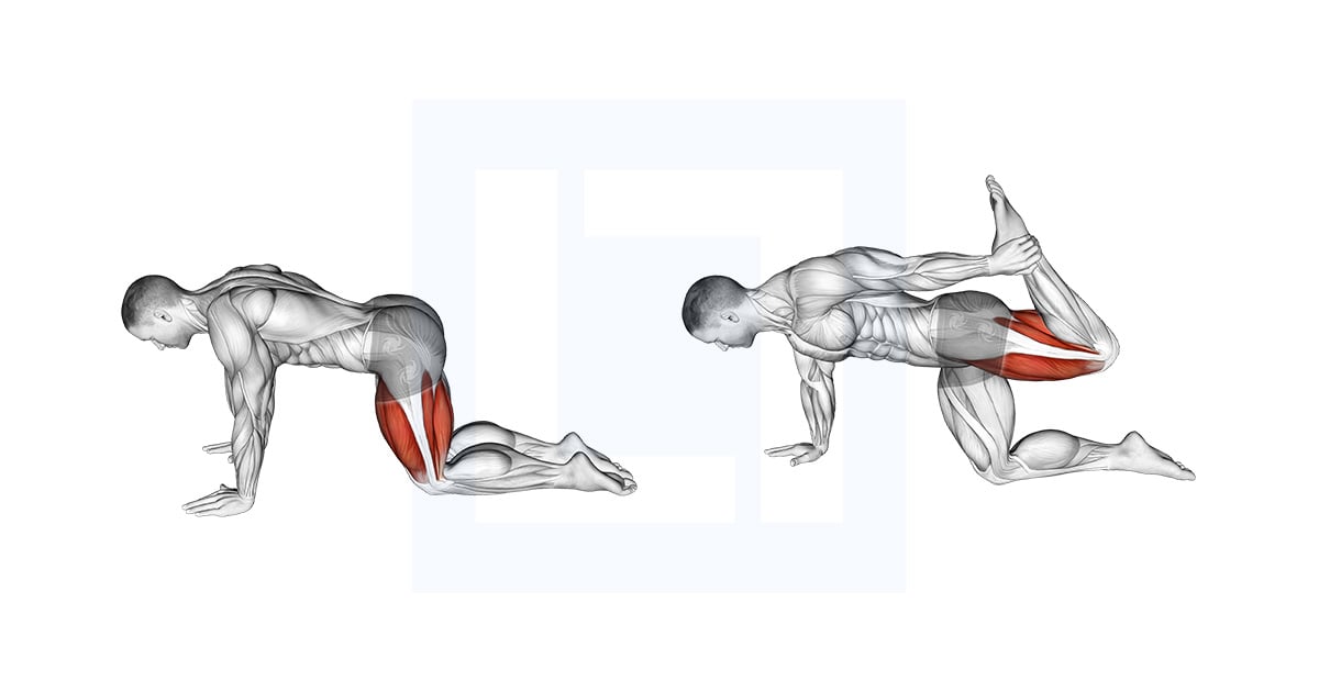 All Fours Squad Stretch