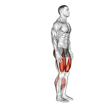 Alternate Sprinter Lunge