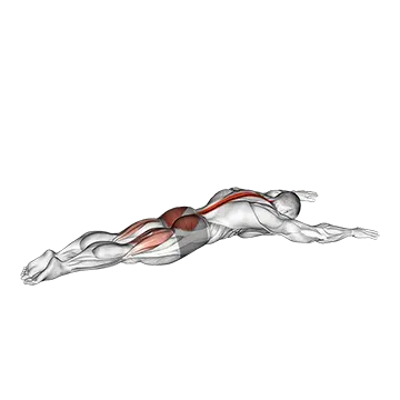 Best Bodyweight Lower Back Workouts Alternating Superman
