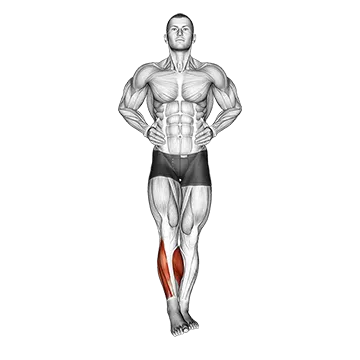 How To Fix Tight Calves Ankle Circles