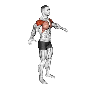 Best PreWorkout Dynamic Stretches Arm Circles