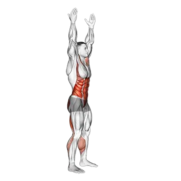 Arms Apart Circular Toe Touch