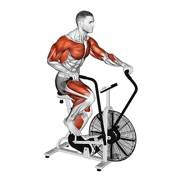 Assault Bike Run