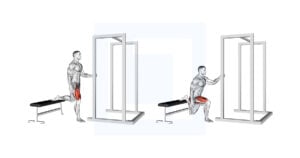 Assisted Bulgarian Split Squat - Guide, Benefits, and Form