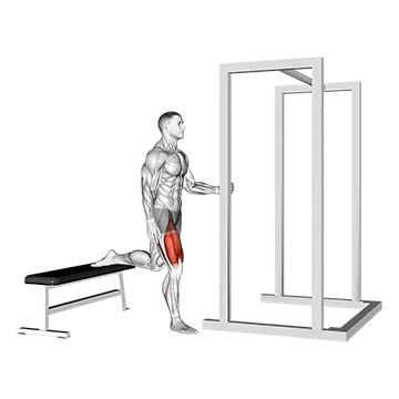 How To Do A Bulgarian Split Squat Assisted Bulgarian Split Squat
