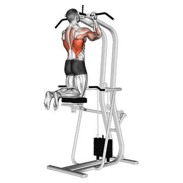 Best Machine Bicep Workouts Assisted Close Grip Underhand Chin Up