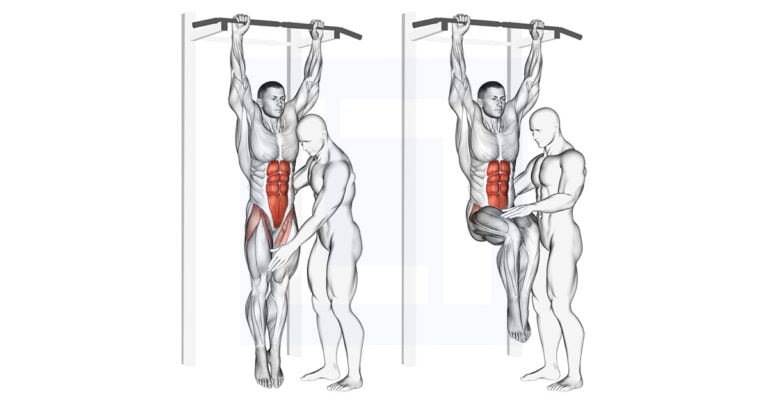 Elastic Knee Rising Assisted Hanging Knee Raise