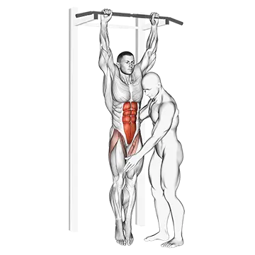 Assisted Hanging Knee Raise