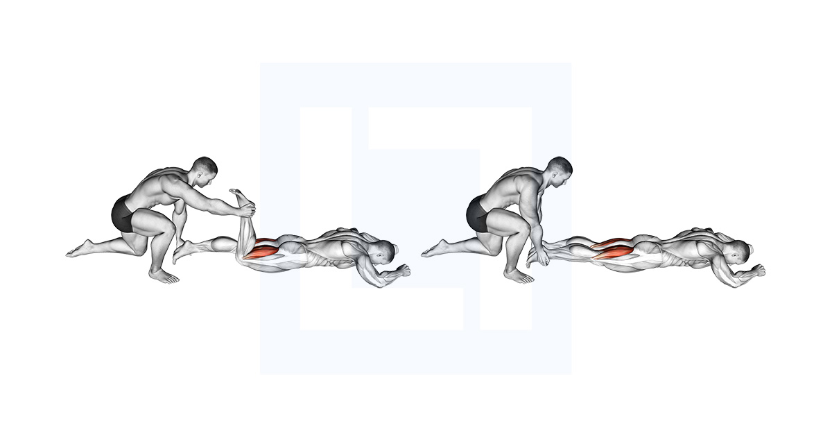 Assisted Prone Hamstring