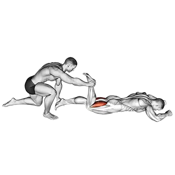 Best Hamstring Stretches Assisted Prone Hamstring