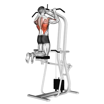 Best Machine Bicep Workouts Assisted Pull Up