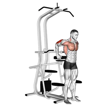 Assisted Standing Triceps Dip