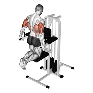 Best Machine Tricep Workouts Assisted Triceps Dip
