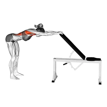 Back Pec Stretch