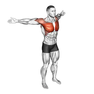 Back Slaps Wrap Arround Stretch