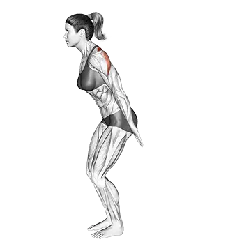 Backhand Raise