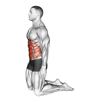 Best Quick Ab Workouts At Home Backward Abdominal Stretch
