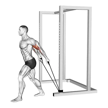 Best Resistance Band Arm Workouts Band 45 Degrees Biceps Curl