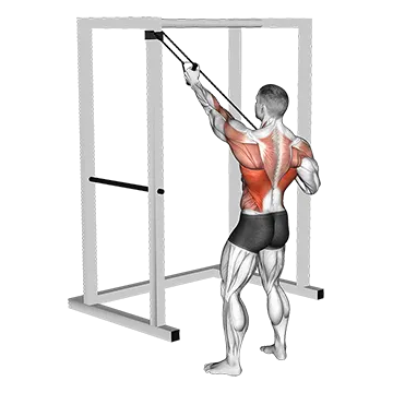Band Alternate Lat Pulldown With Twist