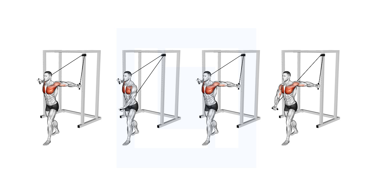 Band Alternate Low Chest Fly