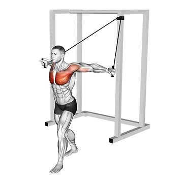 Best Resistance Band Chest Workouts Band Alternate Low Chest Fly