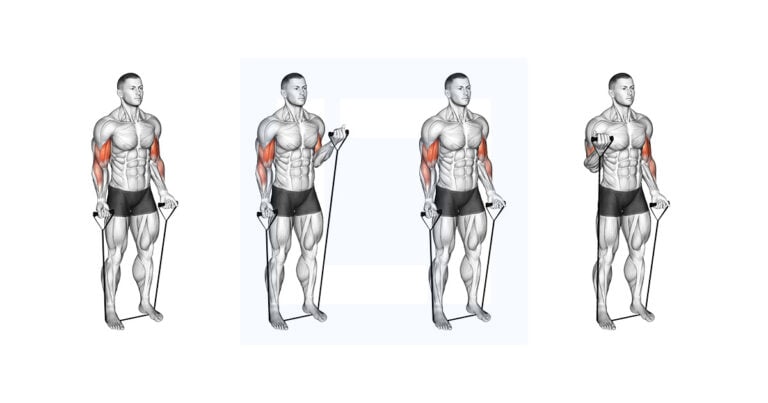 Band Alternating Biceps Curl: Single Arm Band Curl