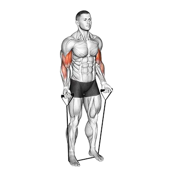 Best Resistance Band Arm Workouts Band Alternating Biceps Curl