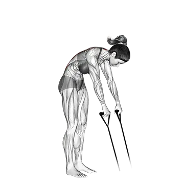 Best Resistance Band Back Workouts Band Back Extension