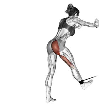 Band Bent Over Hip Extension