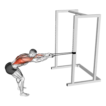Best Resistance Band Lat Workouts Band Bent Over Lat Pulldown