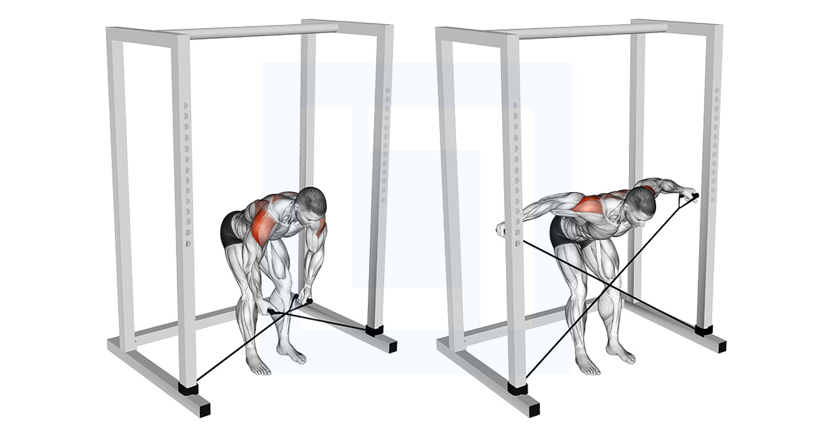 Band Bent Over Rear Lateral Raise