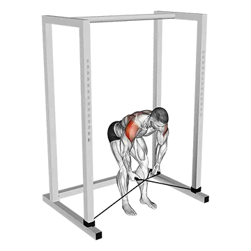 Band Bent Over Rear Lateral Raise
