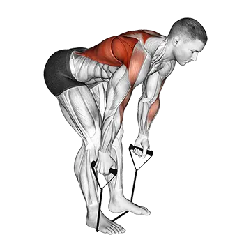 Best Resistance Band Workouts Band Bent Over Row