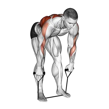 Best Resistance Band Lat Workouts Band Bent Over Wide Grip Row