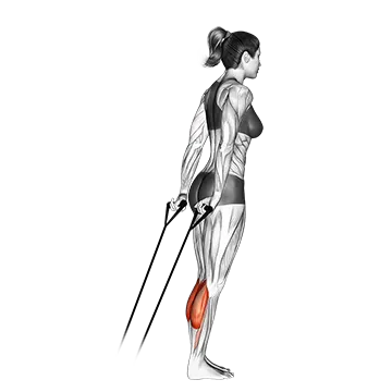 Best Resistance Band Calf Workouts Band Calf Raise