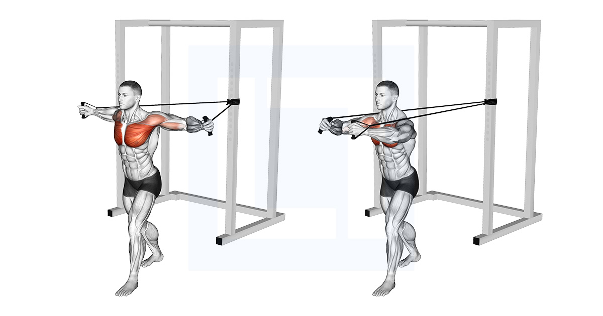 Band Chest Fly At Home Chest Isolation