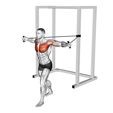 Best At Home Chest Workouts Band Chest Fly