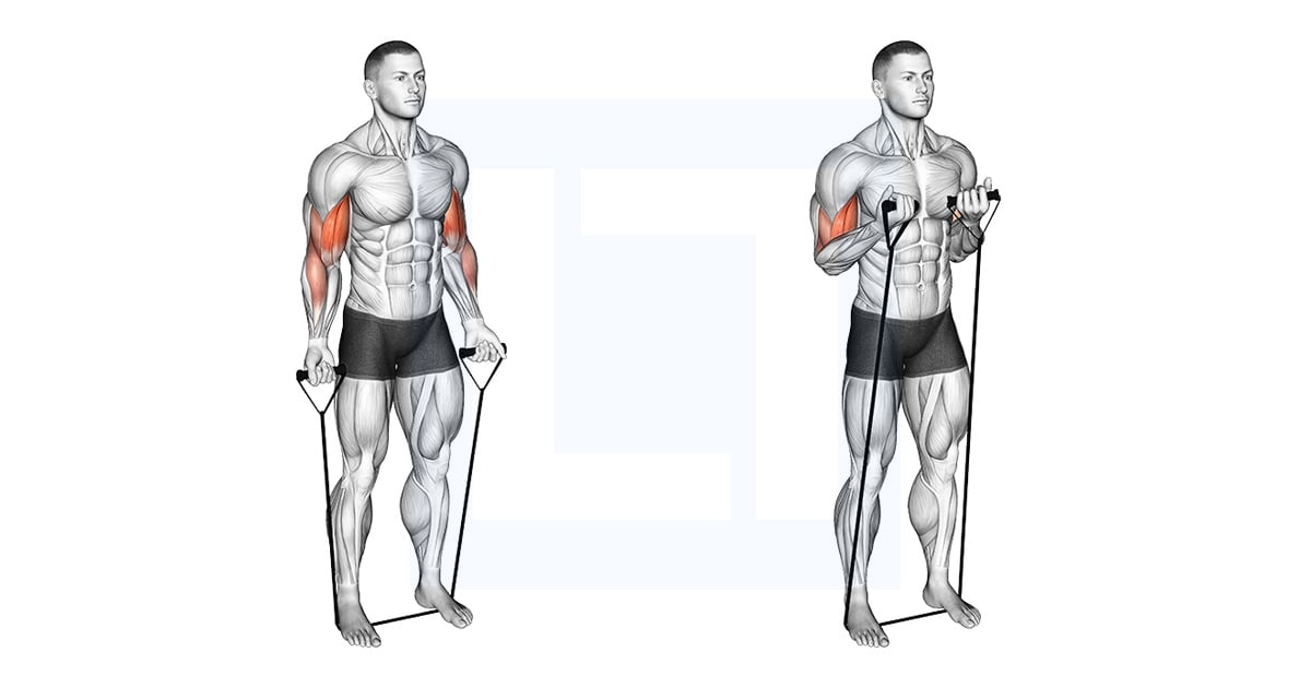 Band Close Grip Biceps Curl