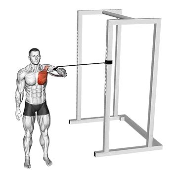 Band Cross Body One Arm Chest Press