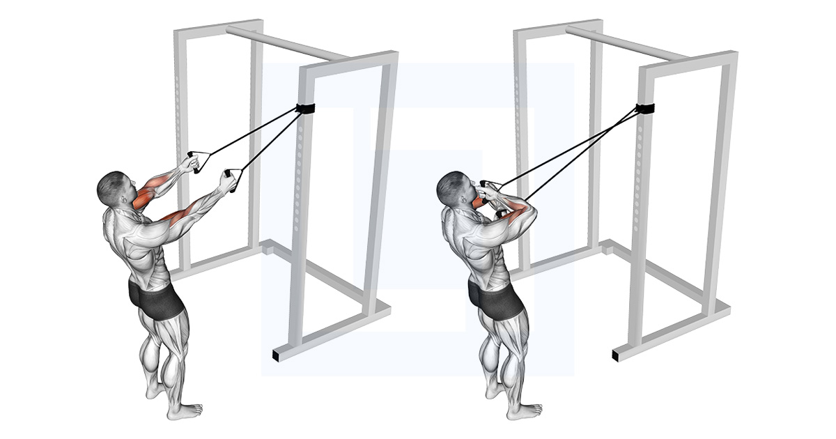 Band Cross Chest Biceps Curl