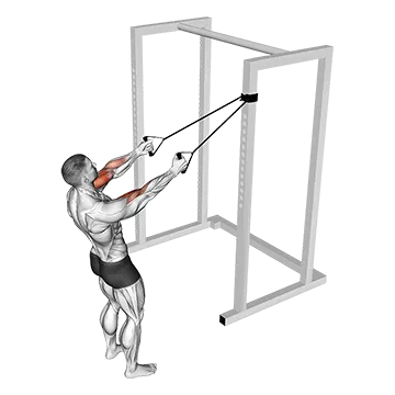 Best Resistance Band Arm Workouts Band Cross Chest Biceps Curl