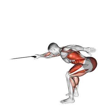 Band Deadlift With Single Arm Row