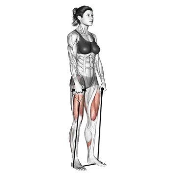 Best Resistance Band Hamstring Workouts Band Deadlift